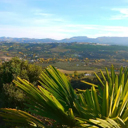 Bed and breakfast El Montecillo *
